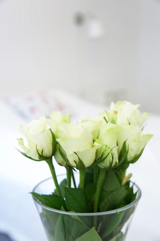 Фото Gamlebyen Hotell - Fredrikstad