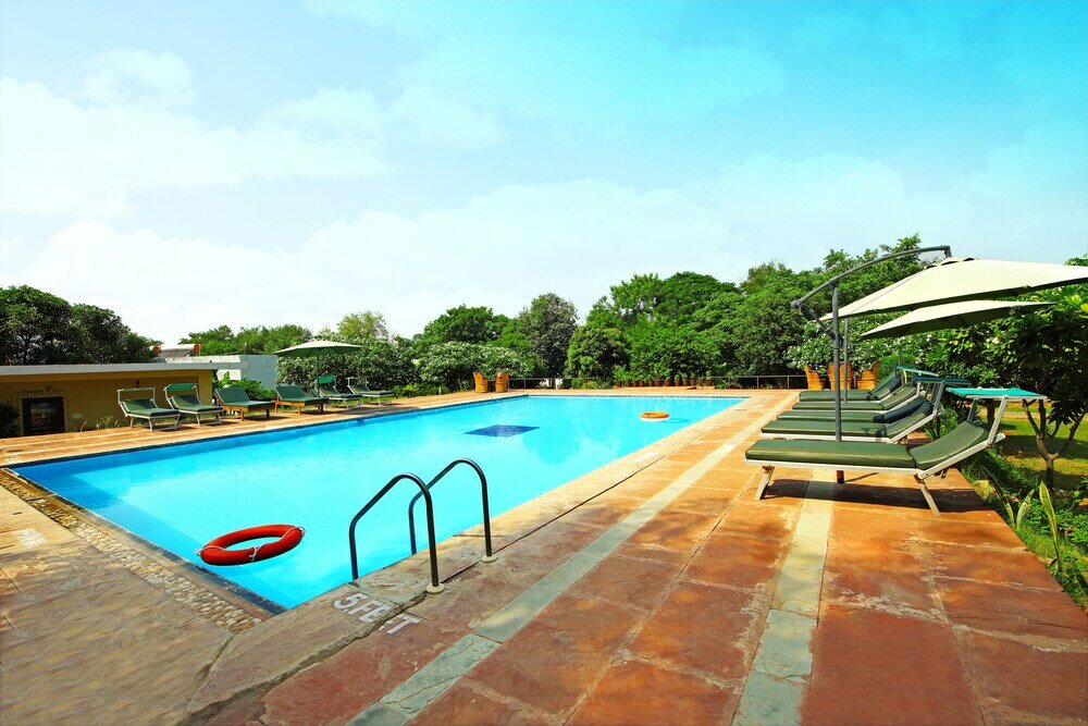 Фото Treehouse The Pugmark