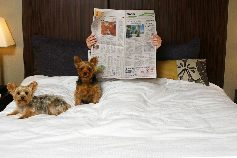 Фото Seminole Hard Rock Hotel and Casino