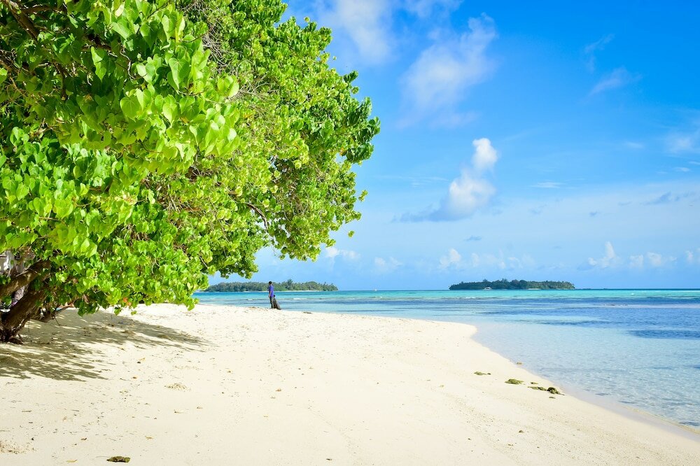 Фото Medhufaru Inn