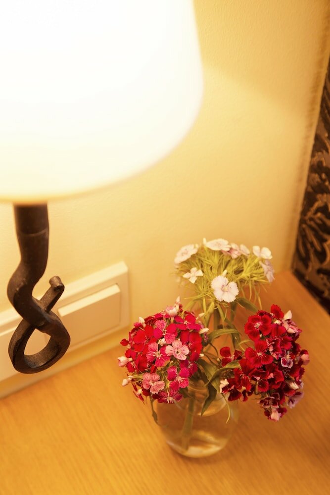 Фото Hotel Villa Florentina