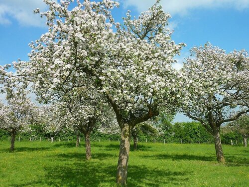 Гостиница Hôtel des Thermes et du Casino в Кане