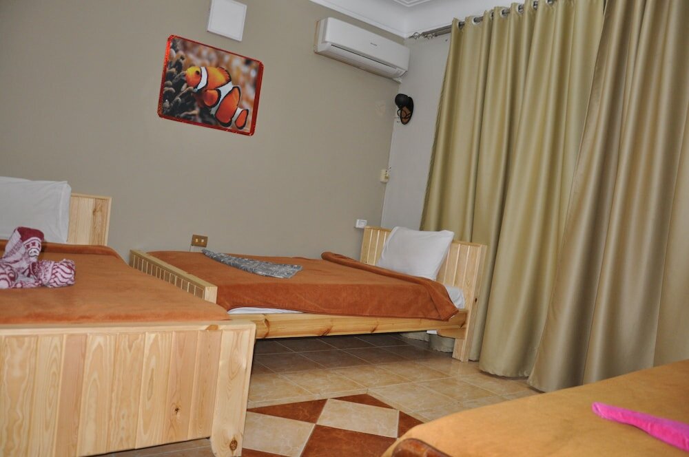 Фото Dahab Plaza Hotel