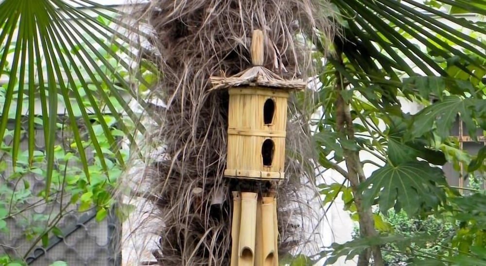 Фото Palazzo Soderini