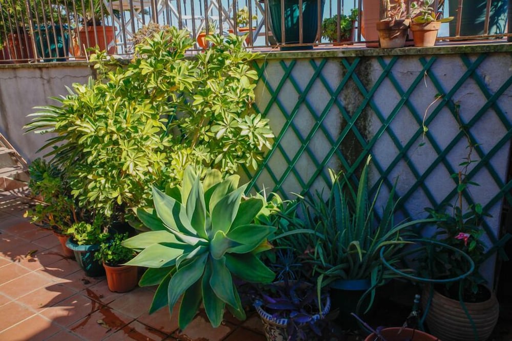 Фото B&b Crociferi Catania