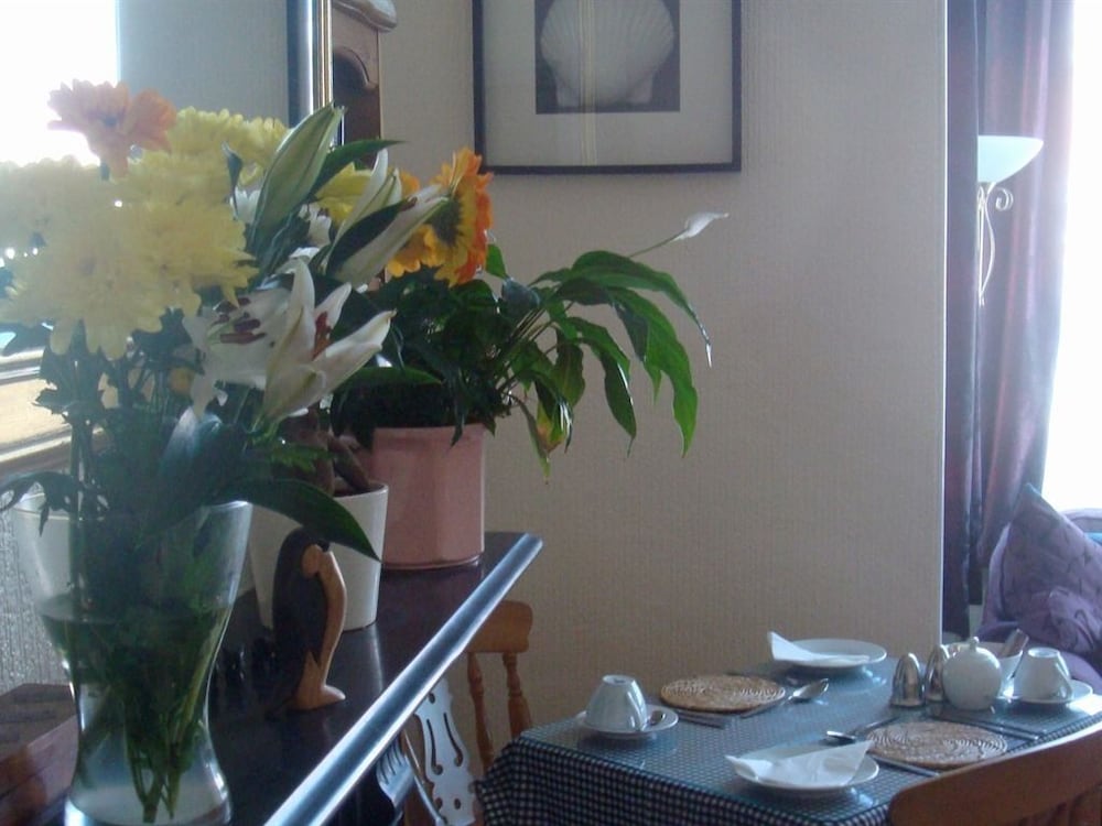 Фото Harlequin Guest House