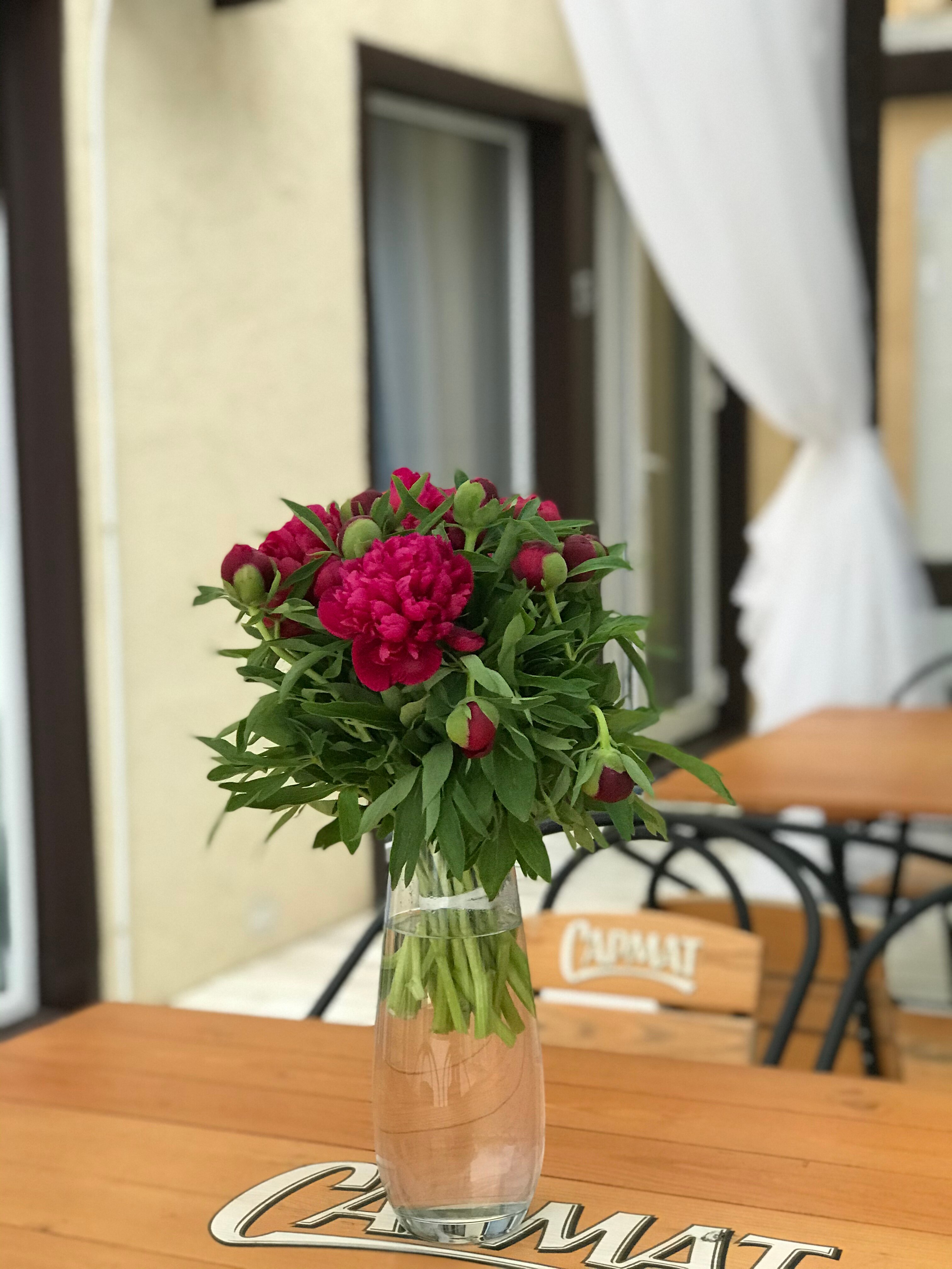 Фото Афина-Вояж