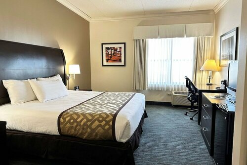 Гостиница Chicago South Loop Hotel в Чикаго