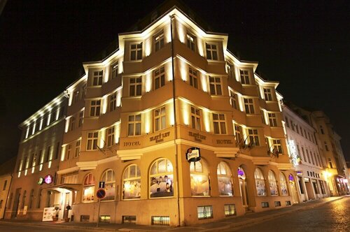 Гостиница Hotel Zlaty Lev Zatec в Жатеце