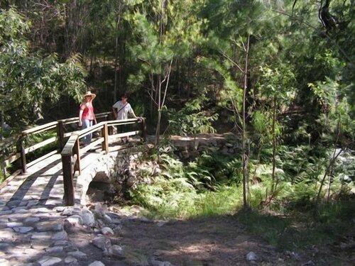 Внешний вид отеля Glass House Mountains Ecolodge в солнечном побережье, фото 5