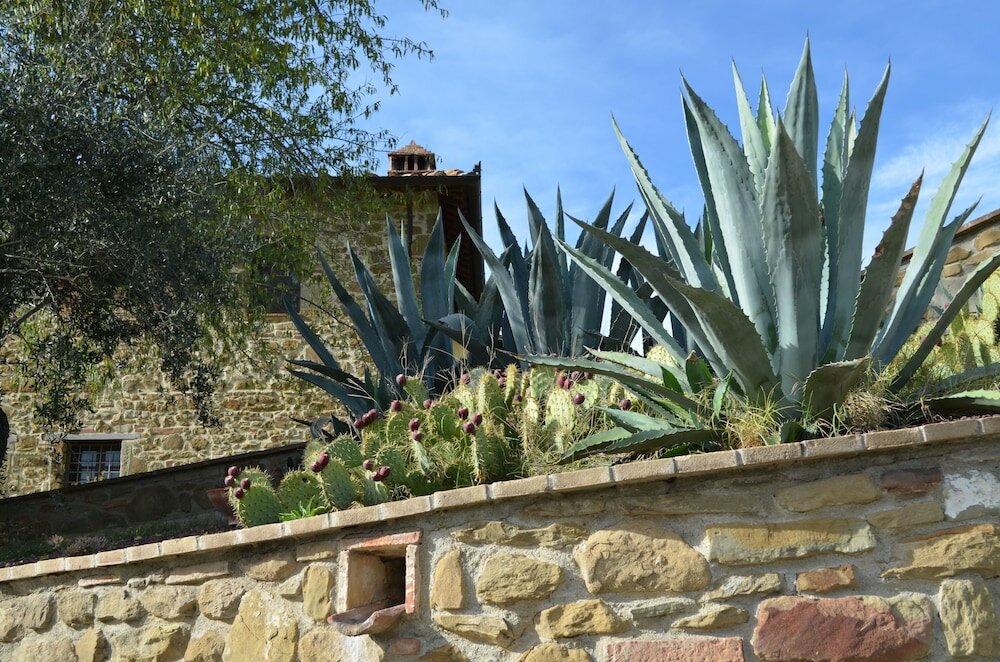 Фото Agriturismo Vocabolo Poggio del Pero