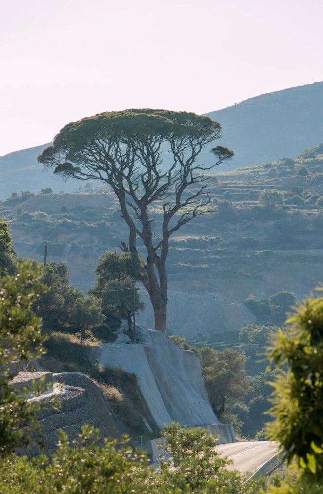 Фото Valena Stylish Home -15 min to Elafonisi