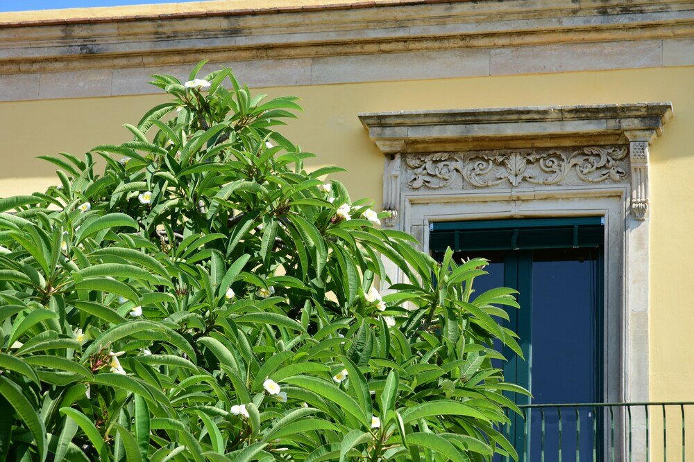 Фото Giardino Arancio