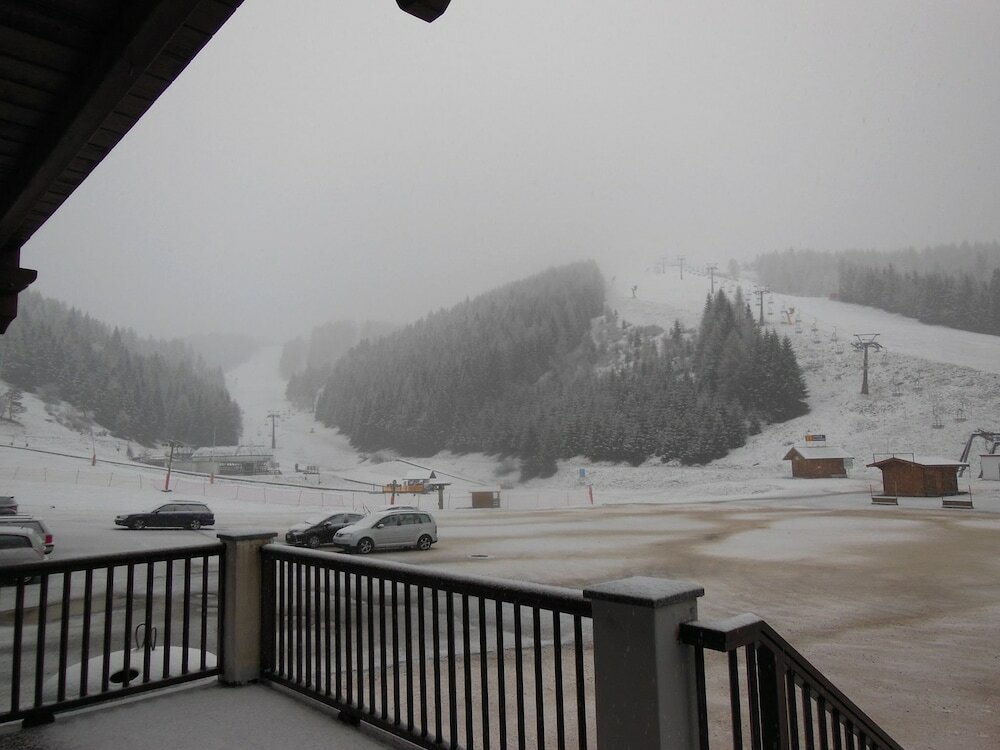 Фото Hotel Grizzly