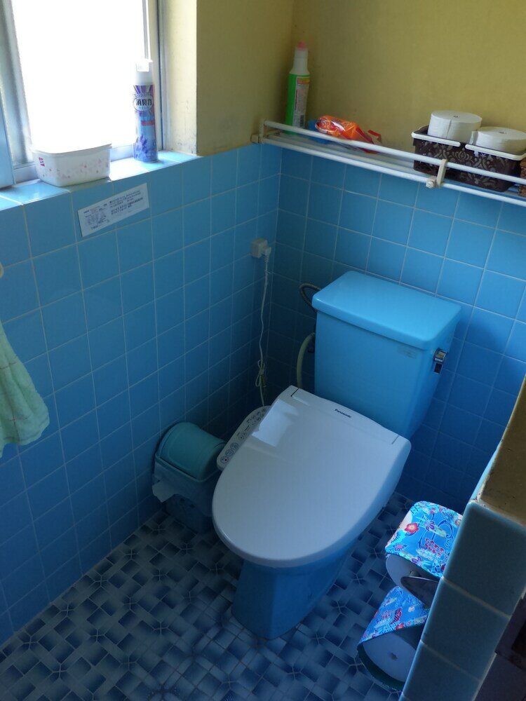 Фото Okinawa Old House Inn Fuuran