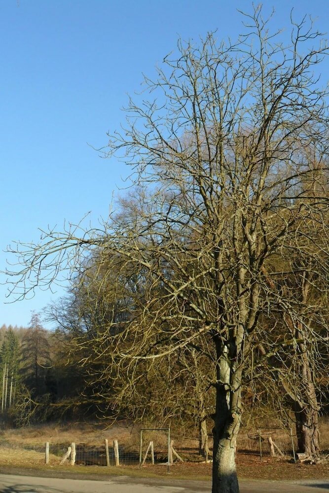 Фото Hotel Badstube