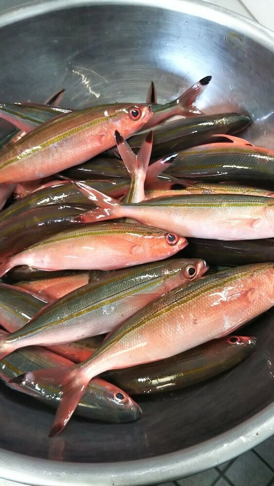 Фото Minsyuku funatsukiba