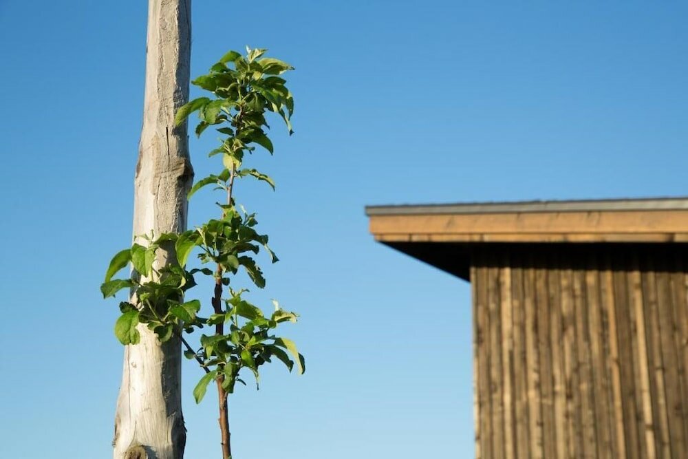 Фото Cottage Ekara