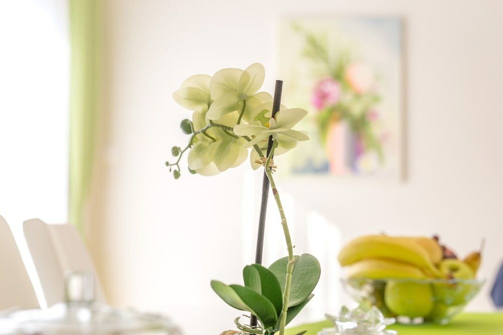 Фото Apartments Snježana Rastoke