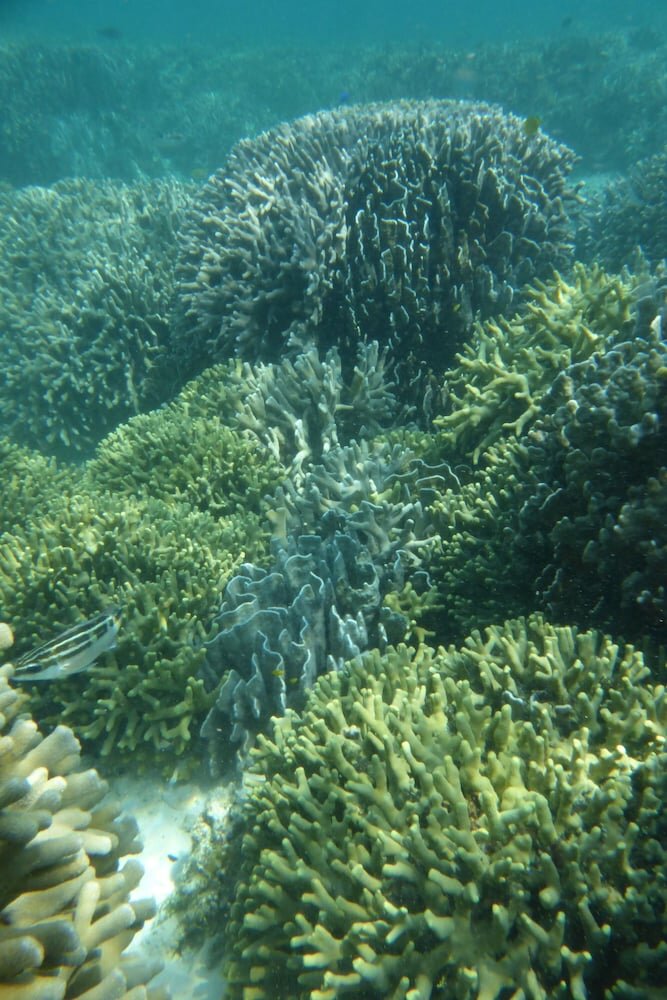 Фото Minsyuku funatsukiba