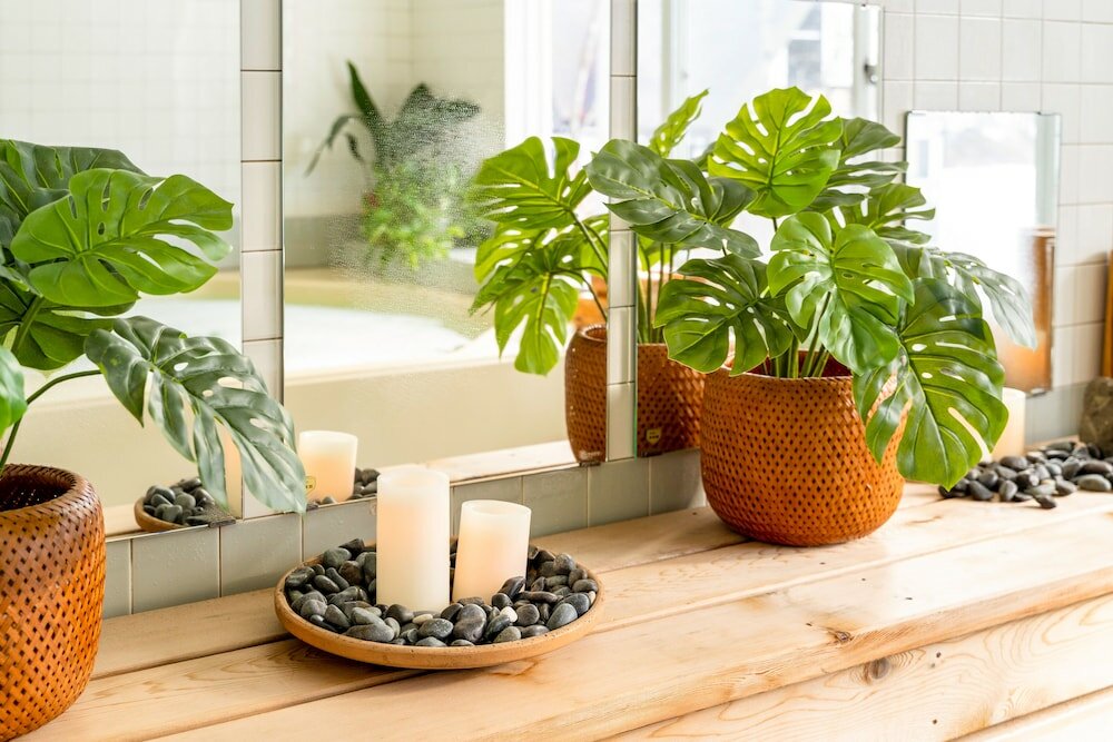 Фото Canopy Cortina Lodge