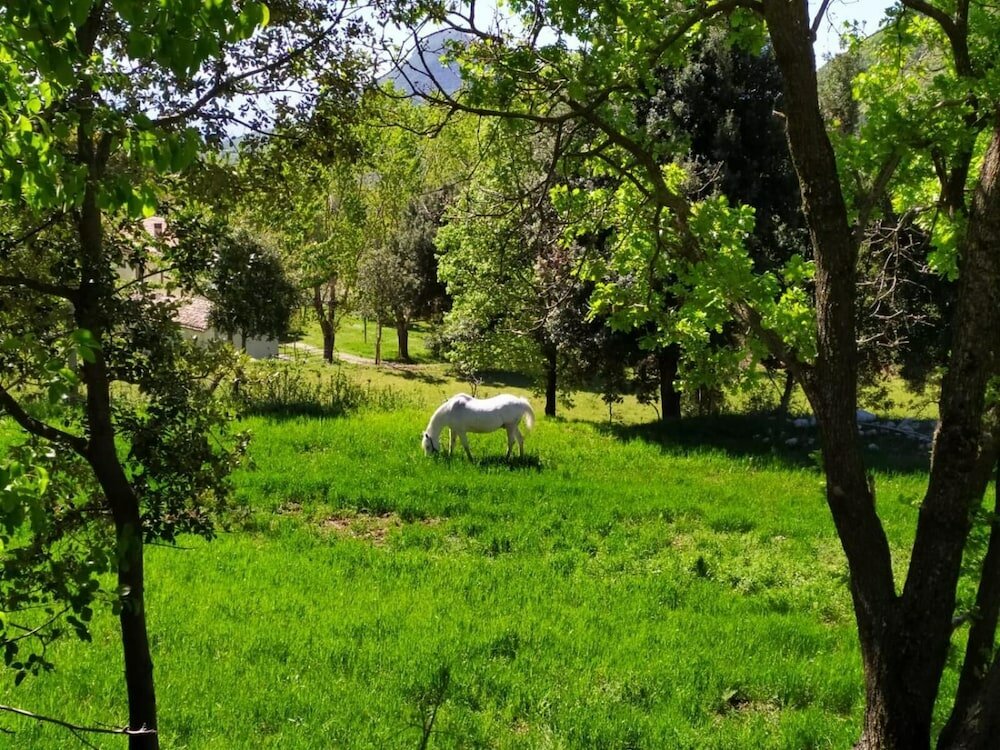 Фото Agriturismo Colloreto