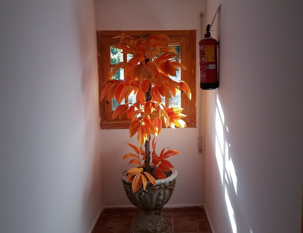 Фото Hostal Rural Valverde