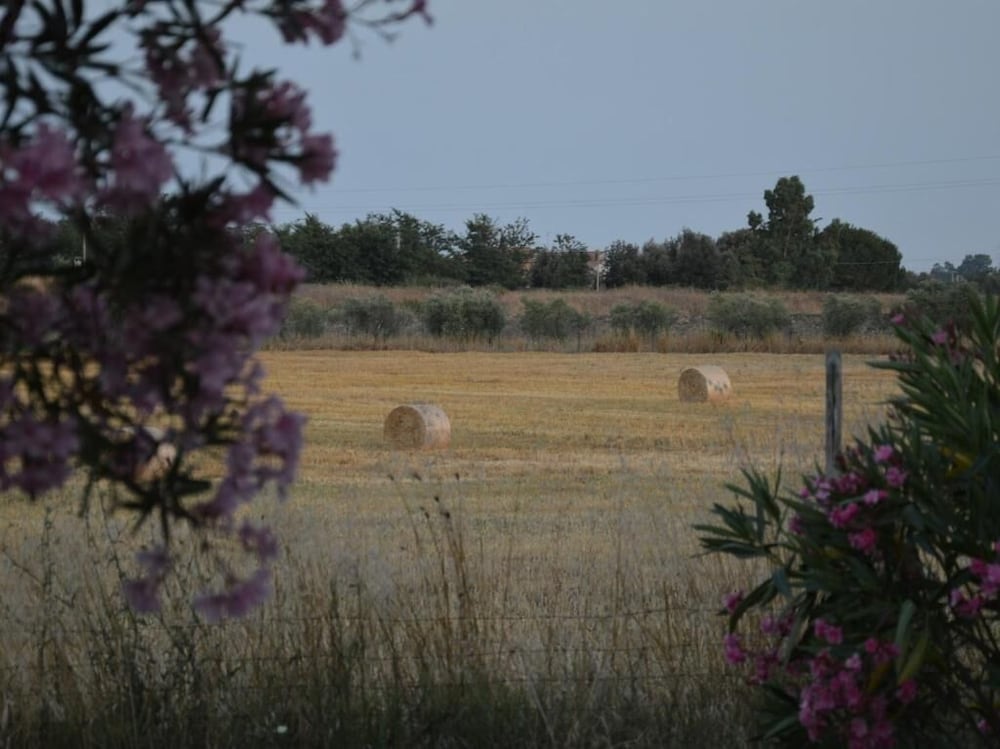 Фото Tenuta Di Pontesodo