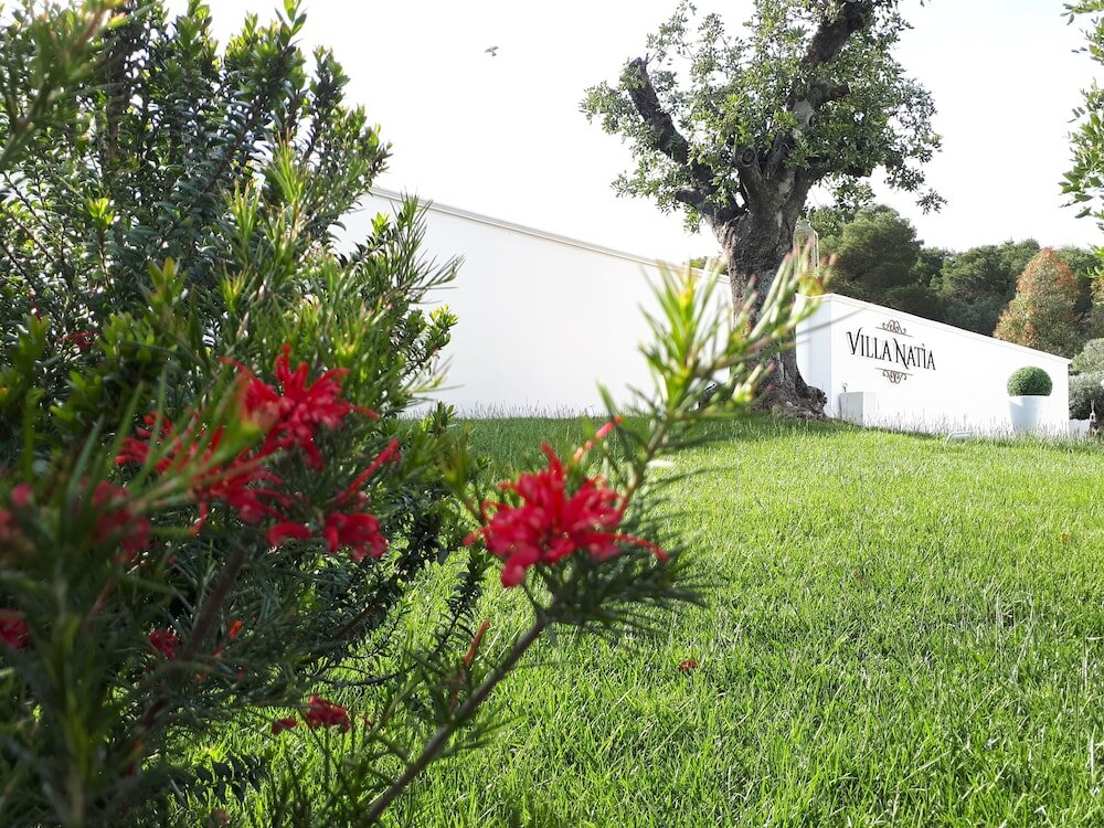 Фото Villa Natia