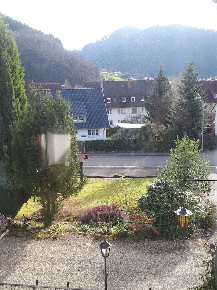 Фото Schwarzwaldhotel Garni Wolfach