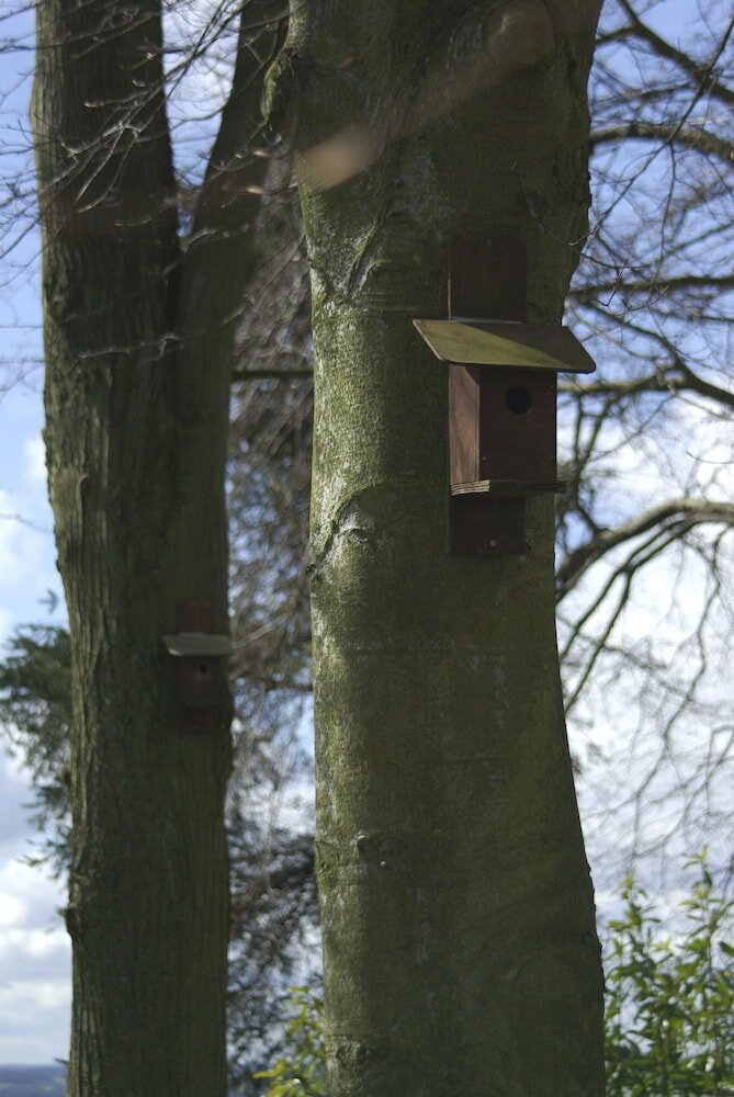 Фото Pitbauchlie House Hotel, Sure Hotel Collection by Bw