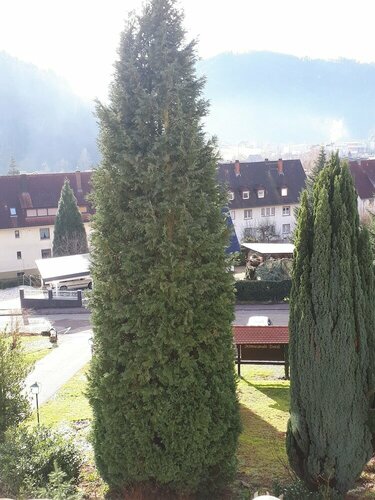 Гостиница Schwarzwaldhotel Garni Wolfach