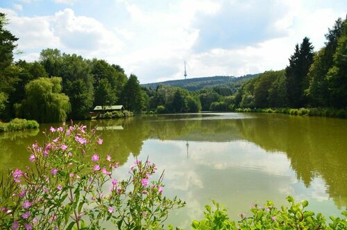 Гостиница Hotel der Jägerhof