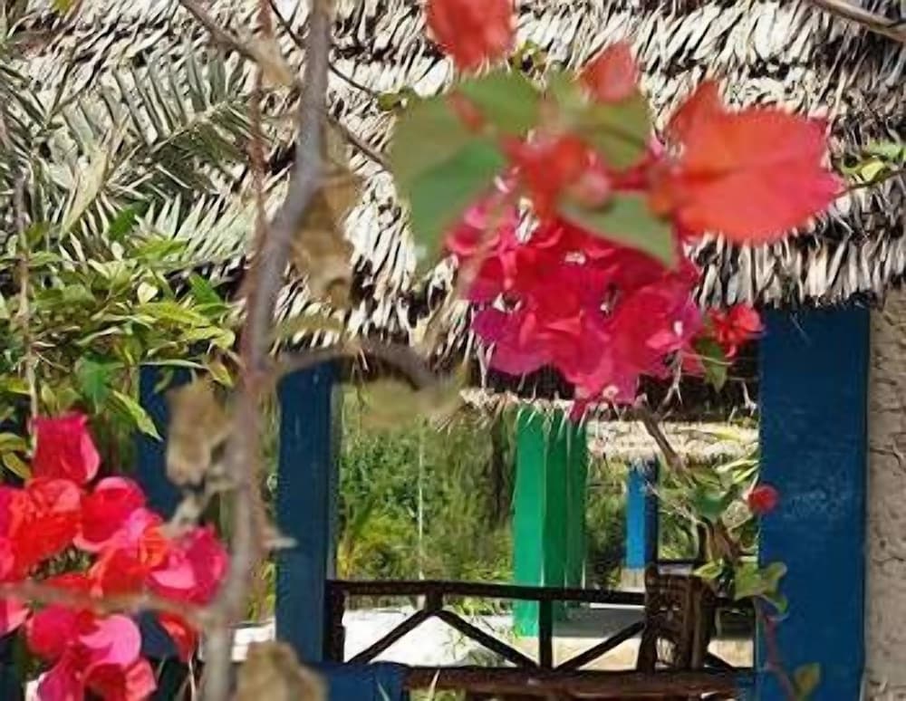 Фото Twisted Palms Lodge & Restaurant