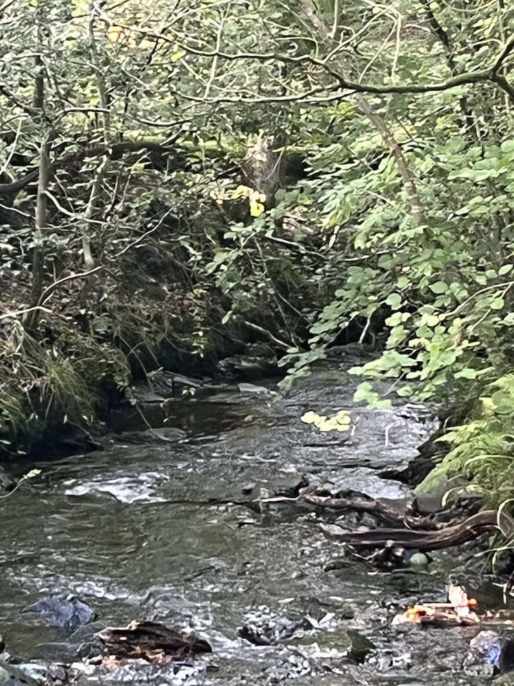 Фото Cambridge House