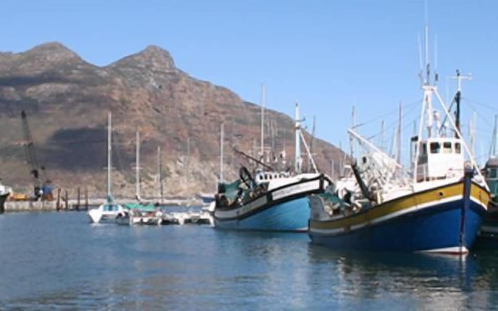 Фото Seacliffe Lodge