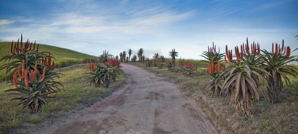 Фото Gwahumbe Game & SPA