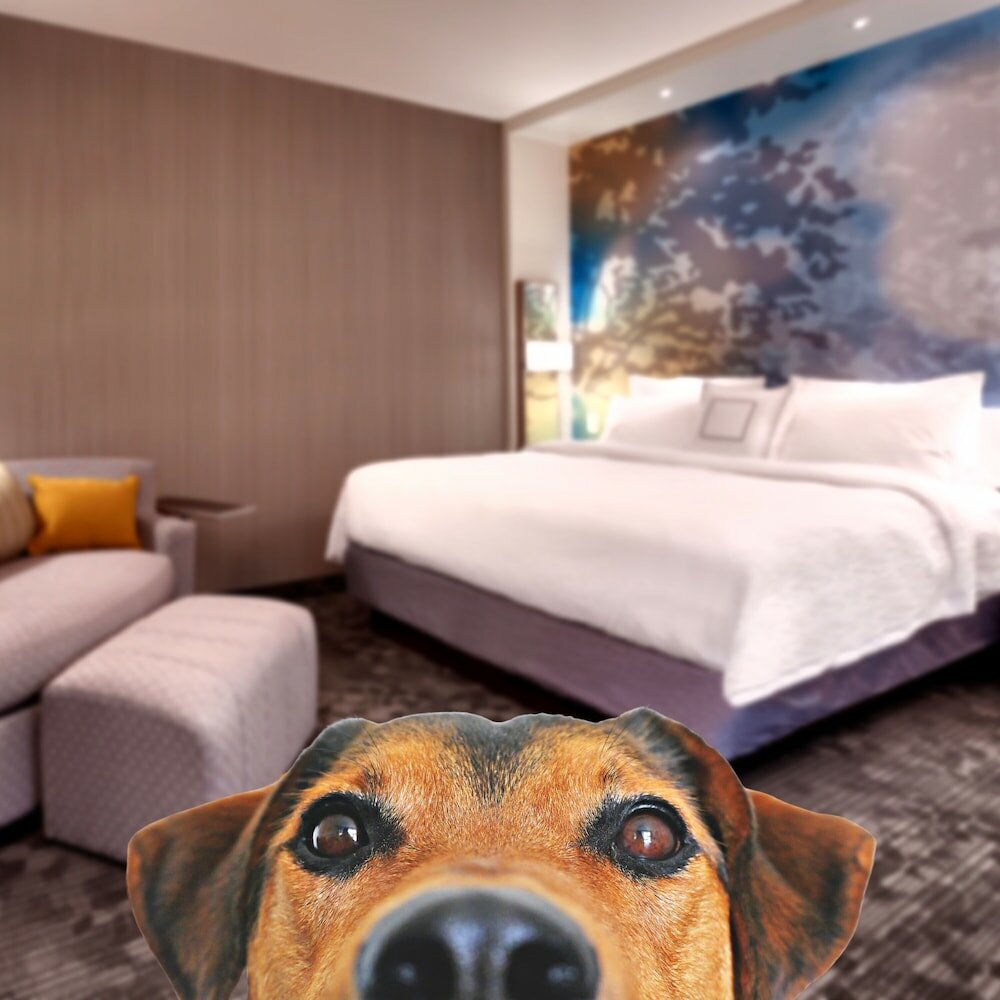 Фото Courtyard Lehi at Thanksgiving Point