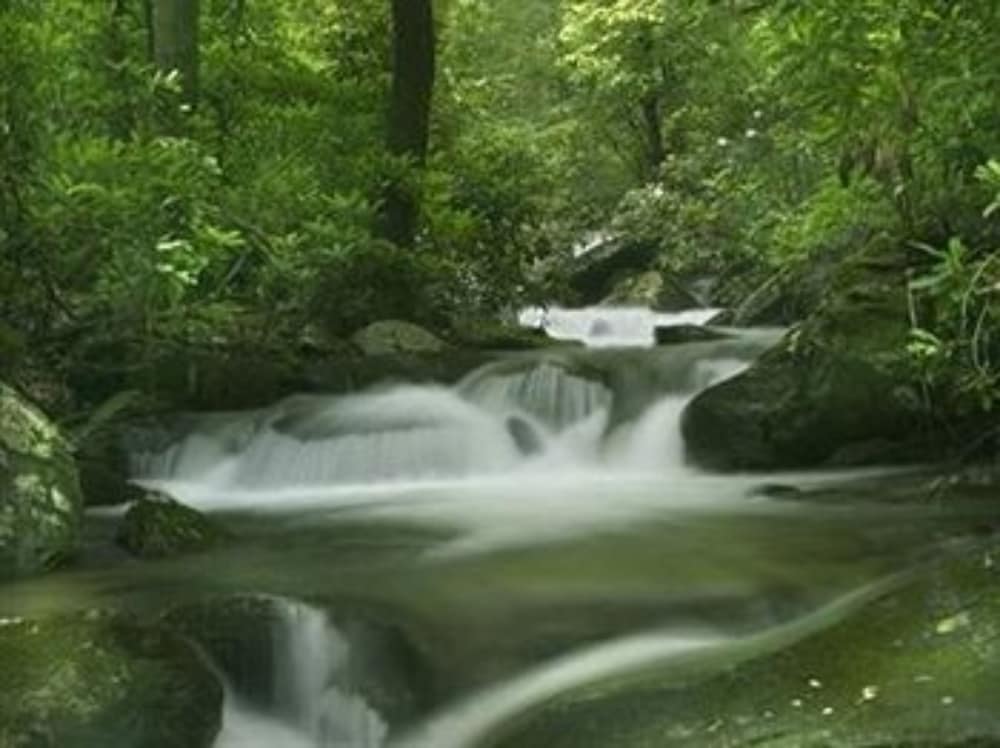 Фото Lake Rabun Hotel & Restaurant