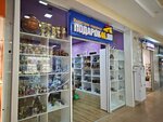 Подарок46 (ул. Ленина, 30), магазин подарков и сувениров в Курске