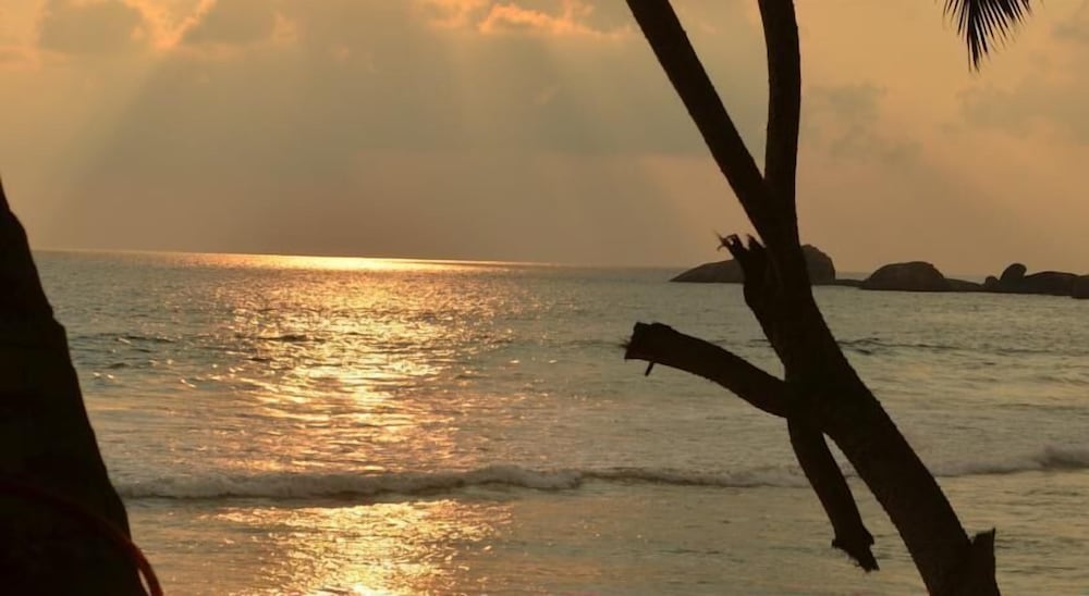 Фото Time N Tide Beach Resort