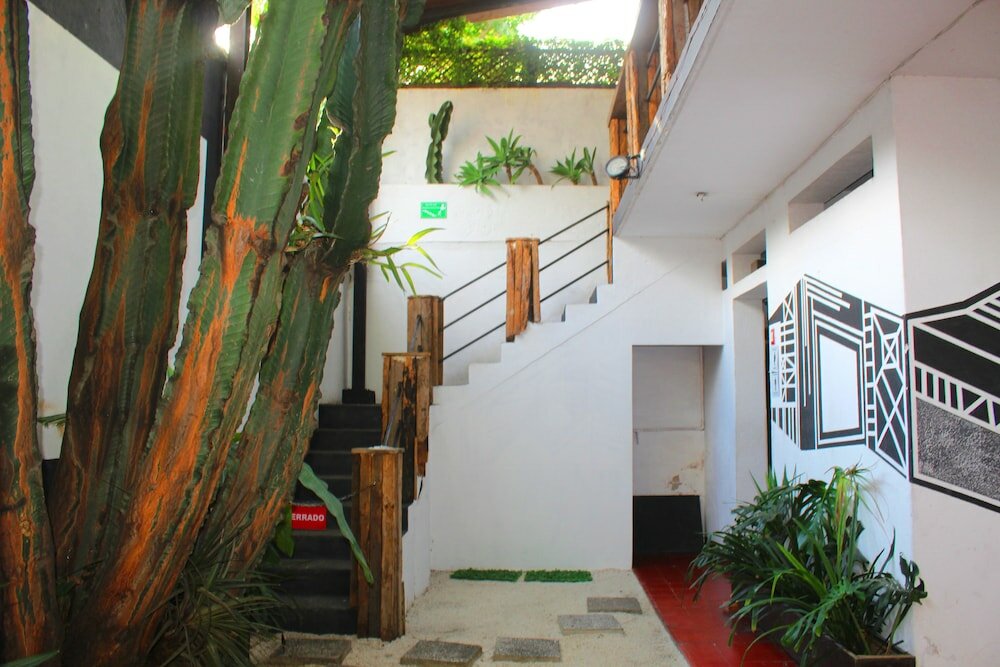 Фото Volko Party Hostel