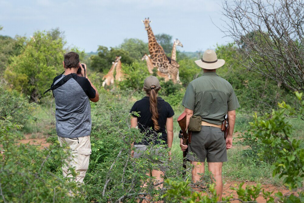 Фото Senalala Safari Lodge