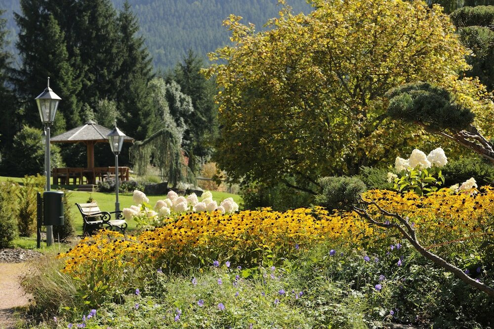 Фото Hotel Bareiss