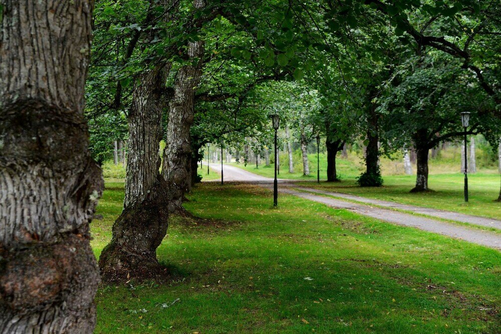 Фото Risberg Herrgård