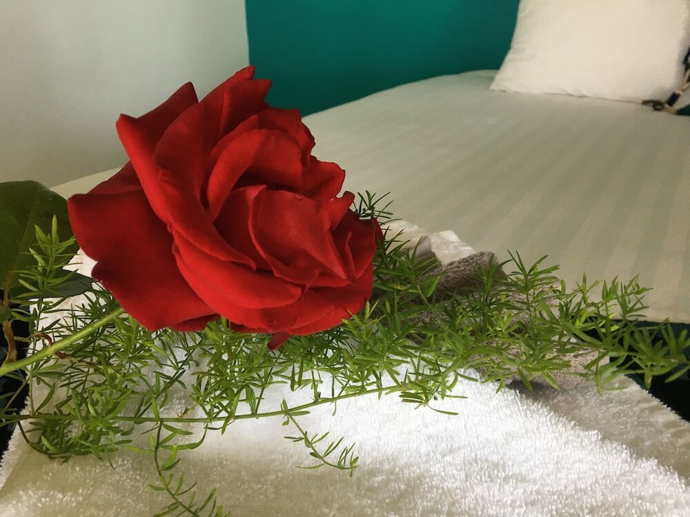 Фото Half Moon Bay Motel