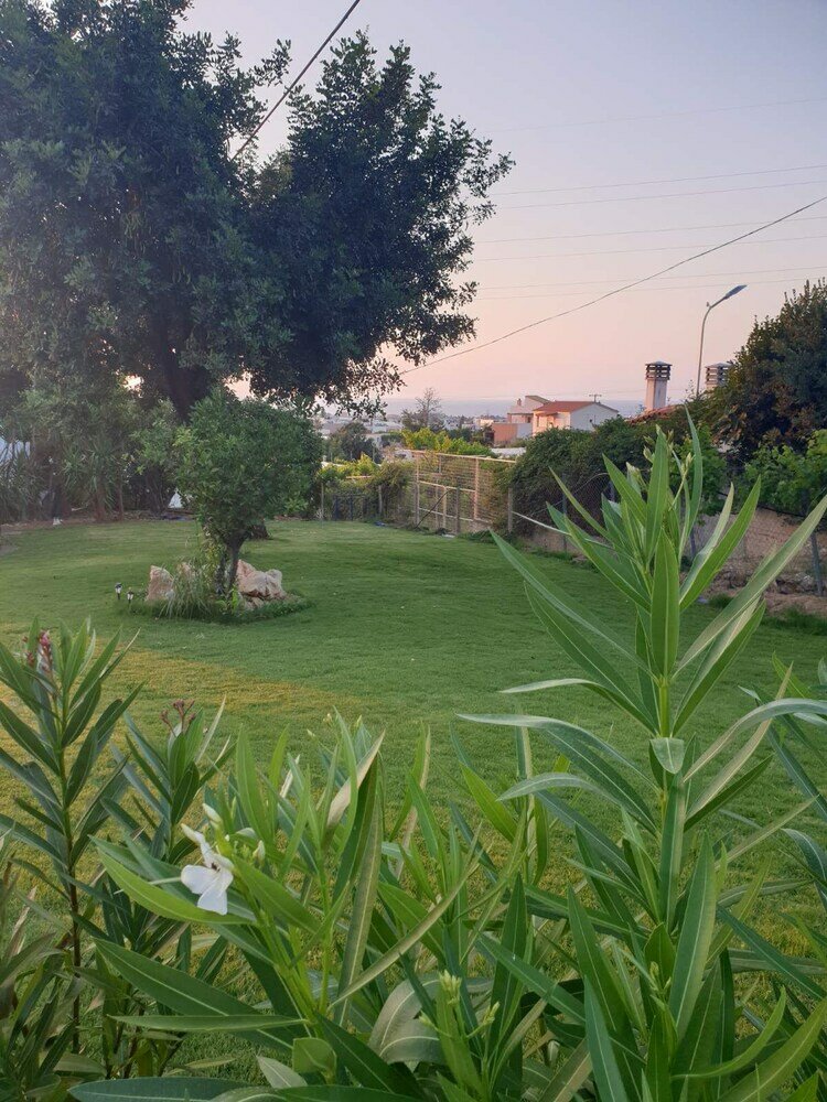 Фото Silia Suites