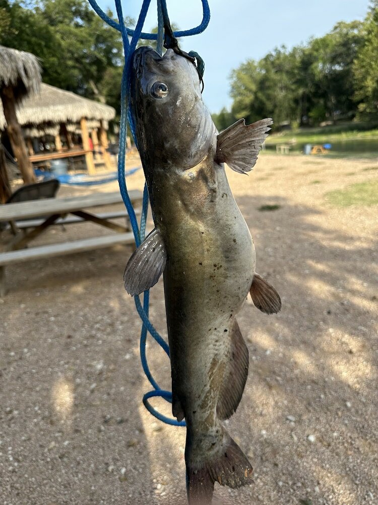 Фото 13 Blue River Camp - Glamping Cabin