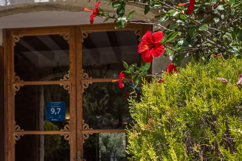 Фото Son Ametler