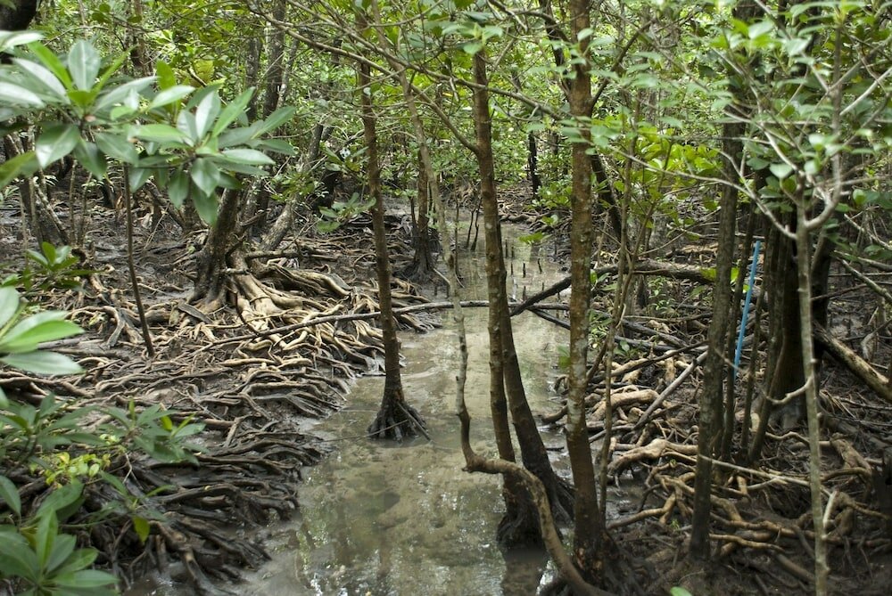 Фото Long Beach Inn